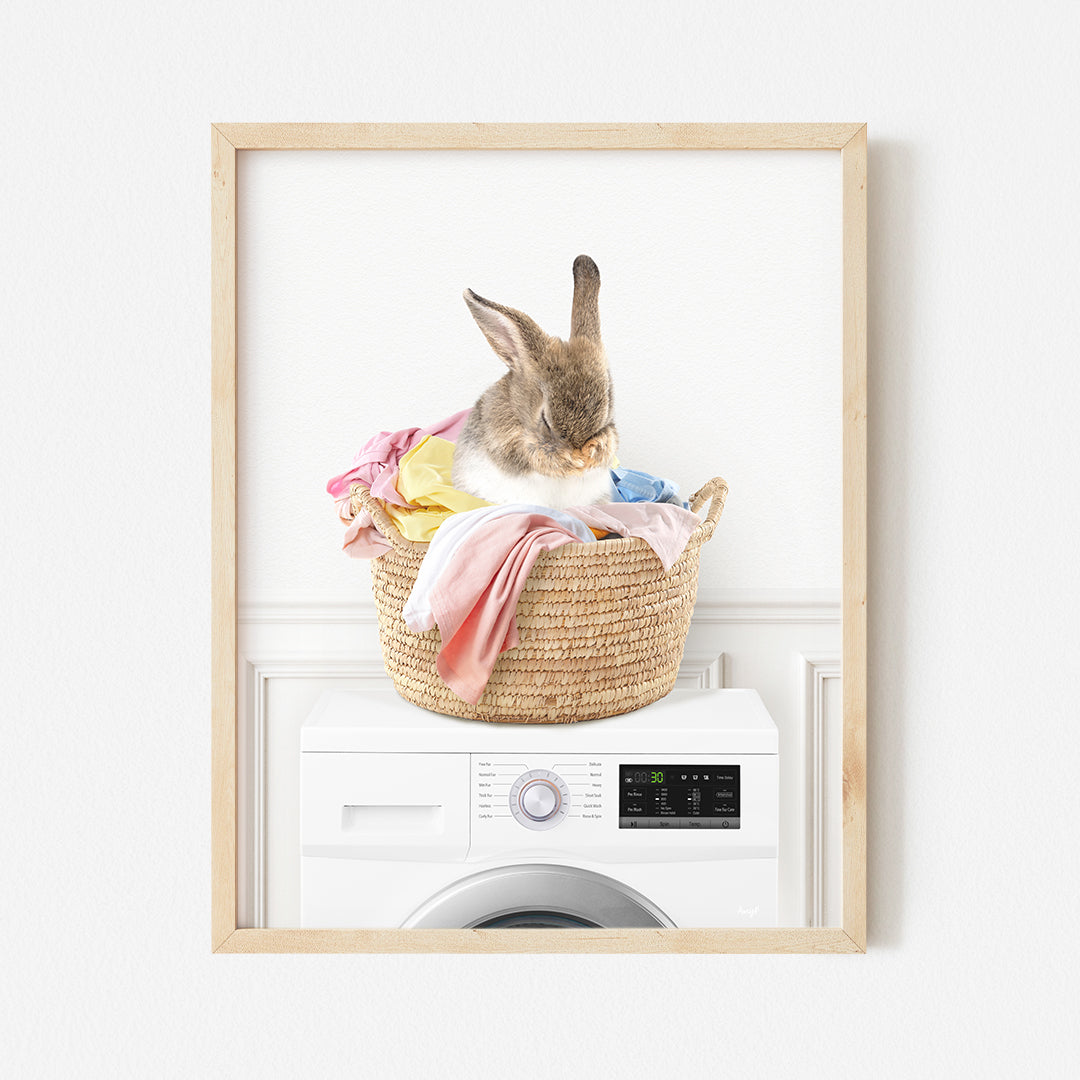 a rabbit sitting in a basket on top of a washing machine