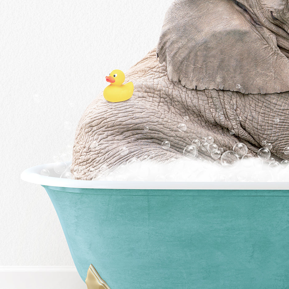 an elephant in a bathtub with a rubber ducky toy