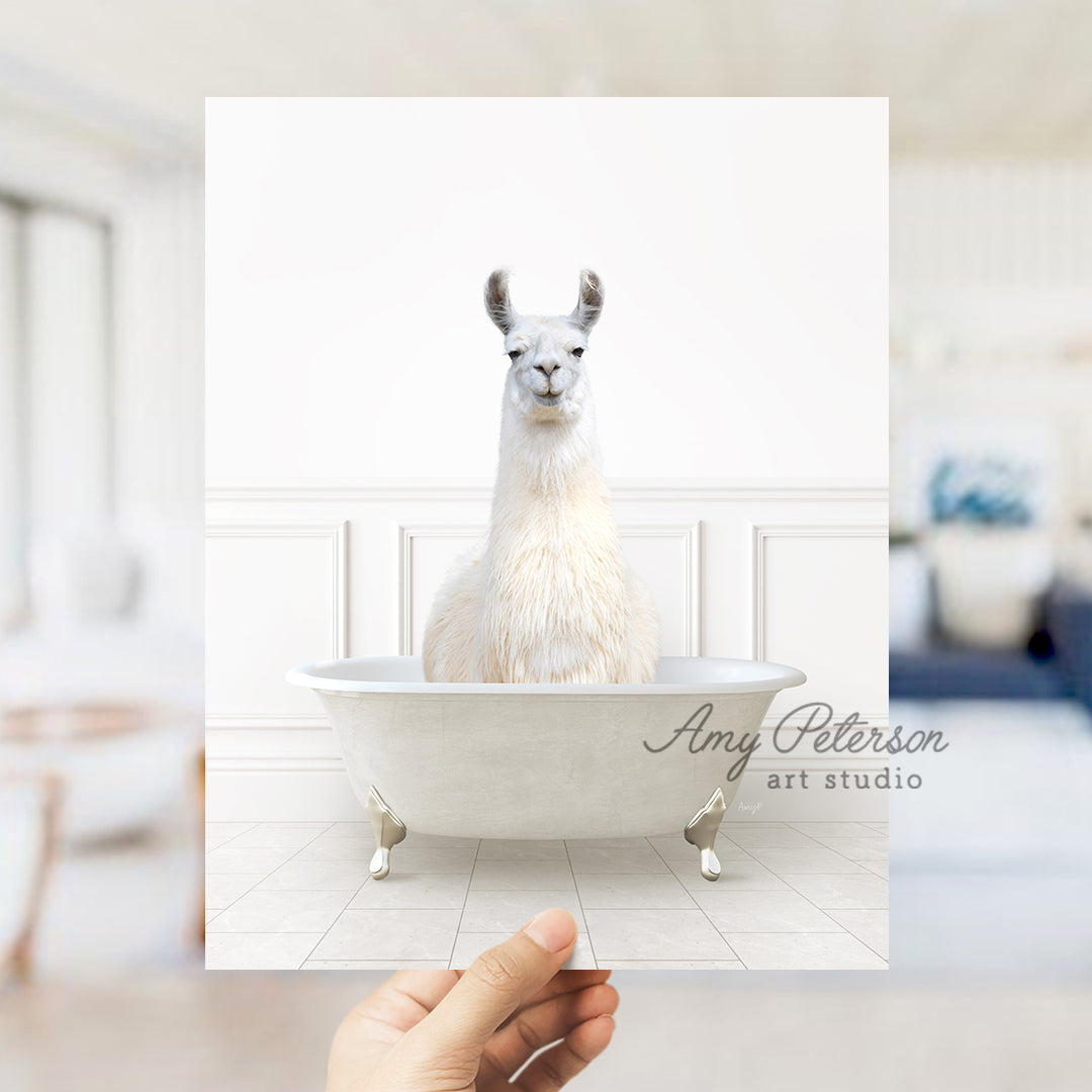 a llama sitting in a bathtub with a white background