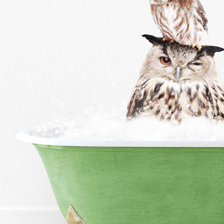 an owl sitting on top of another owl in a bathtub