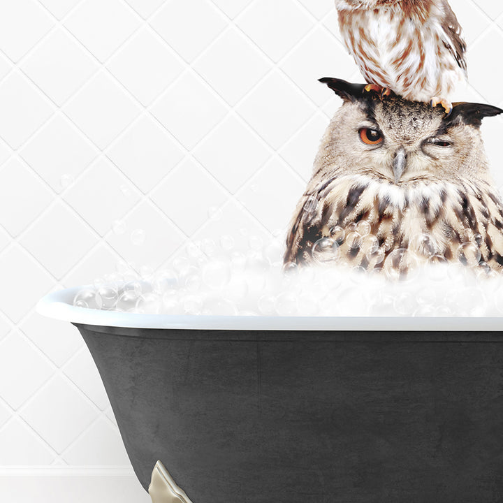 an owl sitting on top of a bath tub