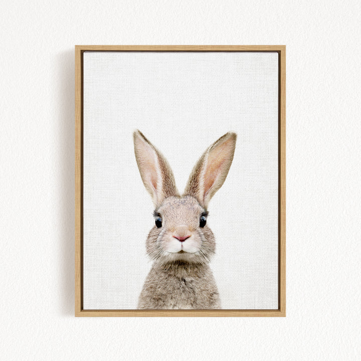 A framed image of a rabbit with large ears and a small nose, looking directly at the camera.