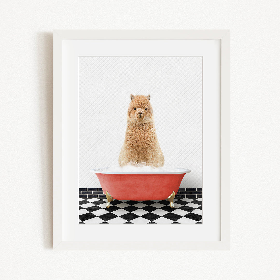 A fluffy brown dog sitting in a red bathtub filled with water, with a black and white checkered floor in the background.