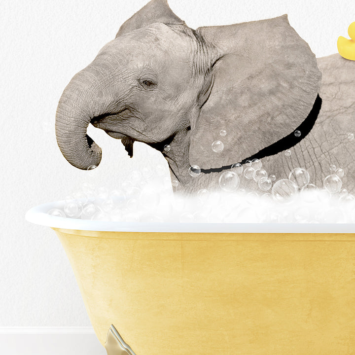 an elephant in a bathtub with bubbles and a rubber duck