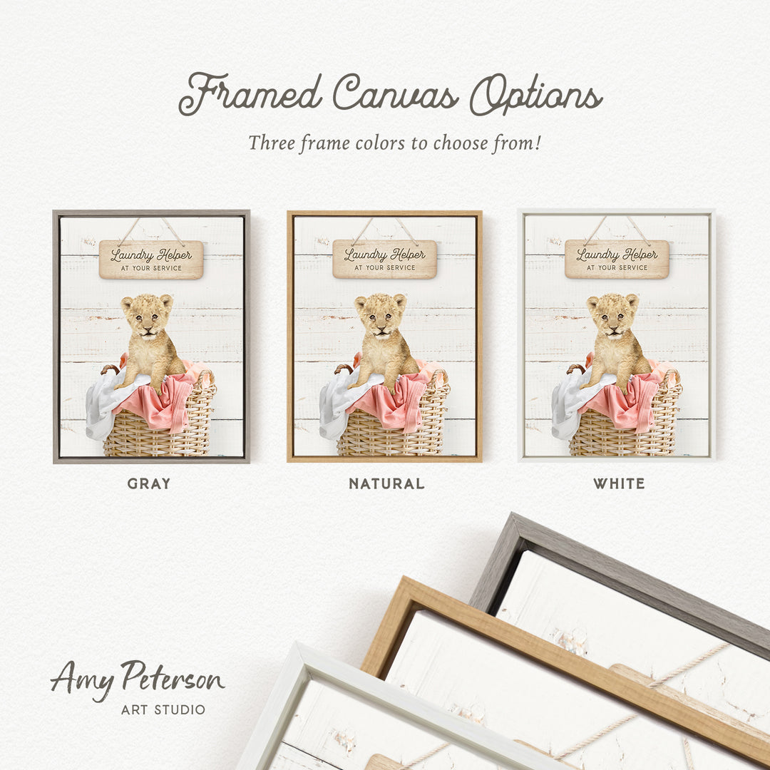 three framed canvas options, each featuring a different color and frame style. The options include a gray frame, a natural frame, and a white frame. The text " Framed Canvas Options" is displayed above the options, and the text " Amy Peterson ART STUDIO" is shown at the bottom of the image.