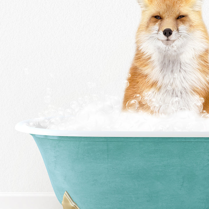 a fox sitting in a bathtub full of bubbles