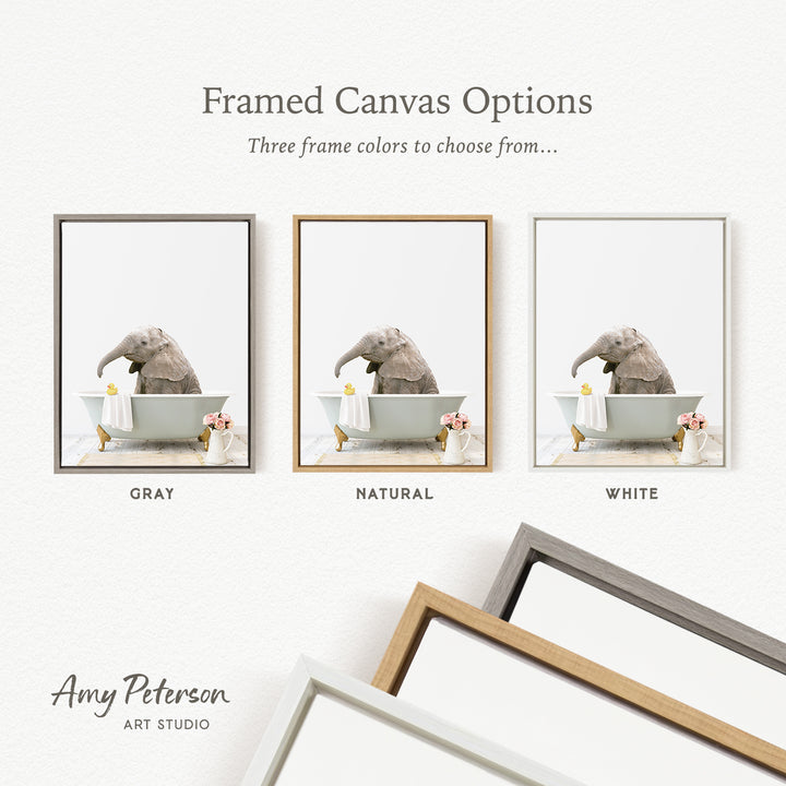 three framed canvas options, each featuring a different color: gray, natural, and white. The text above the images reads " framed Canvas Options" and "Three frame colors to choose from...". The bottom of the image includes the text " Amy Peterson ART STUDIO".
