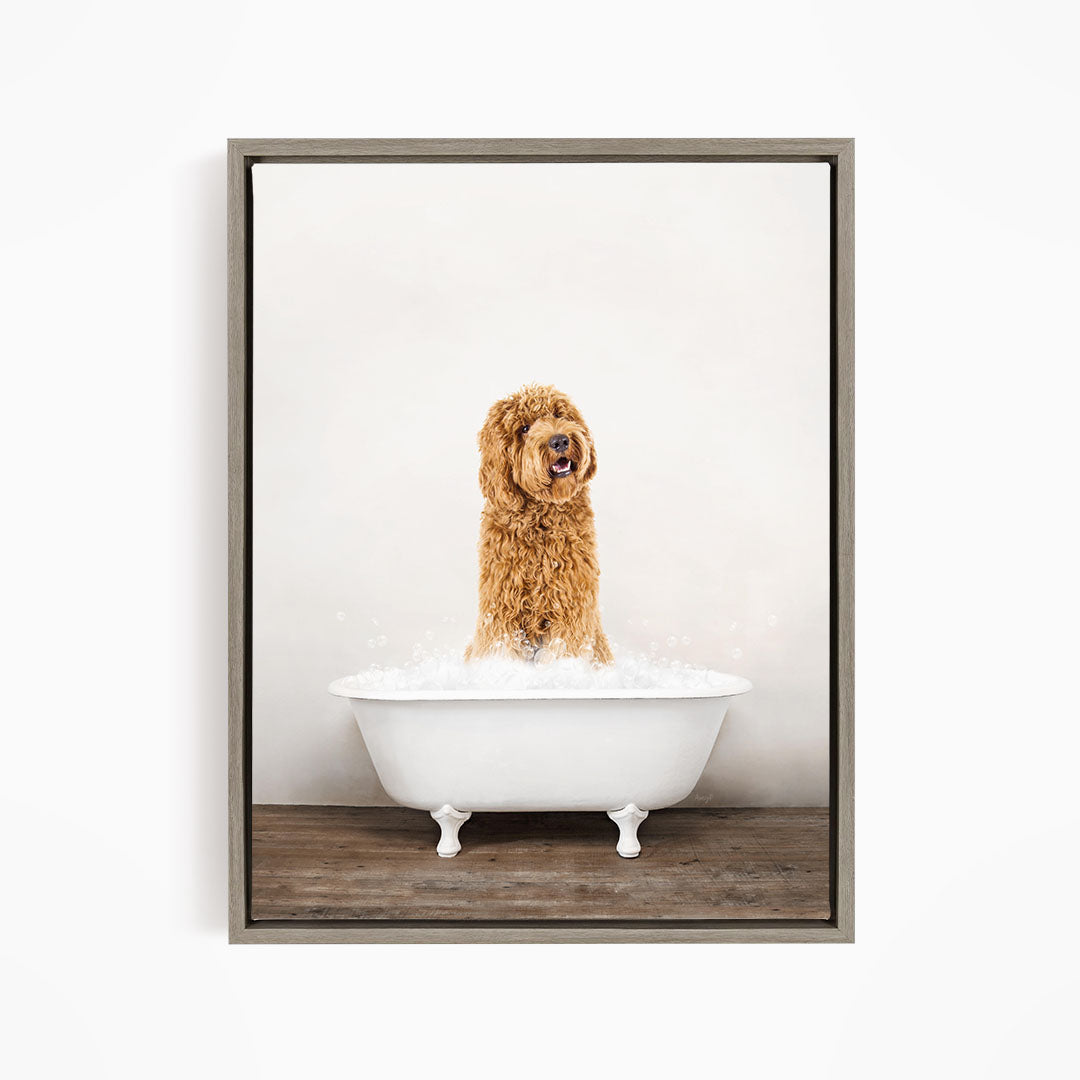 A brown dog sitting in a white bathtub filled with water, appearing to be enjoying a bath.
