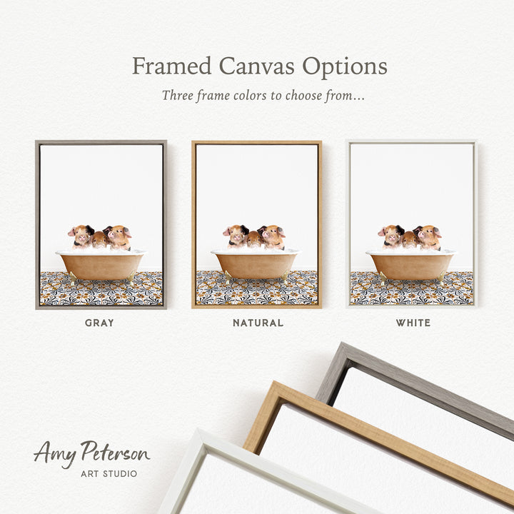 three framed canvas options, each featuring a different color: gray, natural, and white. The text above the images reads " framed Canvas Options" and "Three frame colors to choose from...". The bottom of the image includes the text " Amy Peterson ART STUDIO".