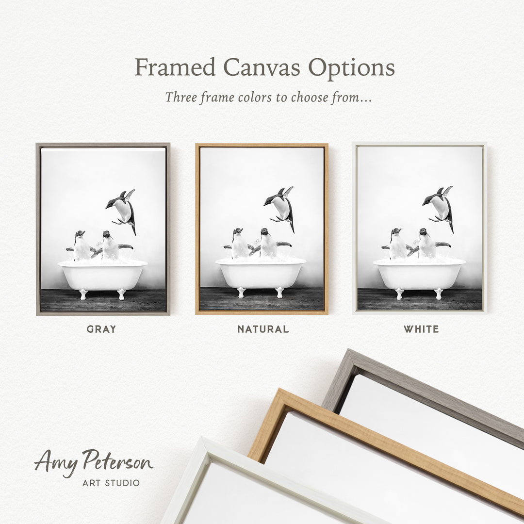 three framed canvas options, each featuring a black and white photograph of a bird in a bathtub. The options include a gray frame, a natural frame, and a white frame.