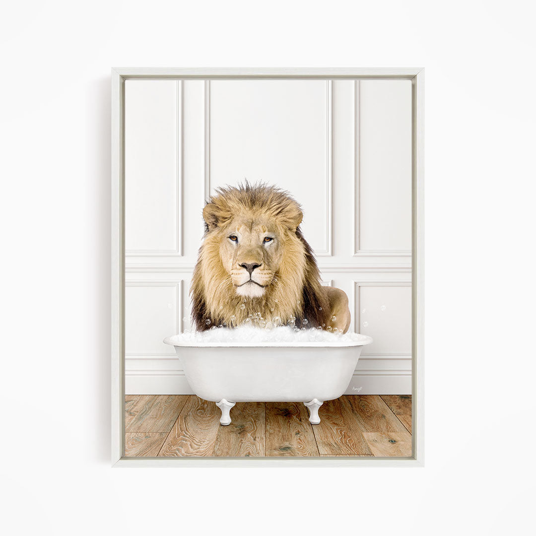 A lion sitting in a white bathtub filled with water, looking directly at the camera.