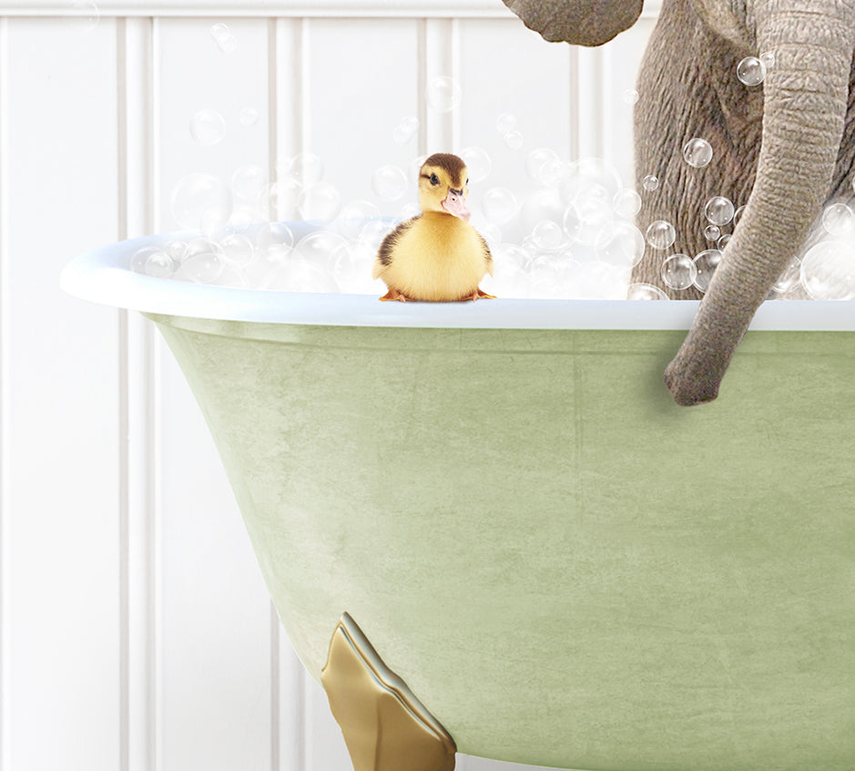 an elephant and a duck in a bathtub