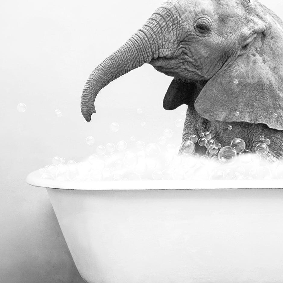 a baby elephant in a bathtub with bubbles