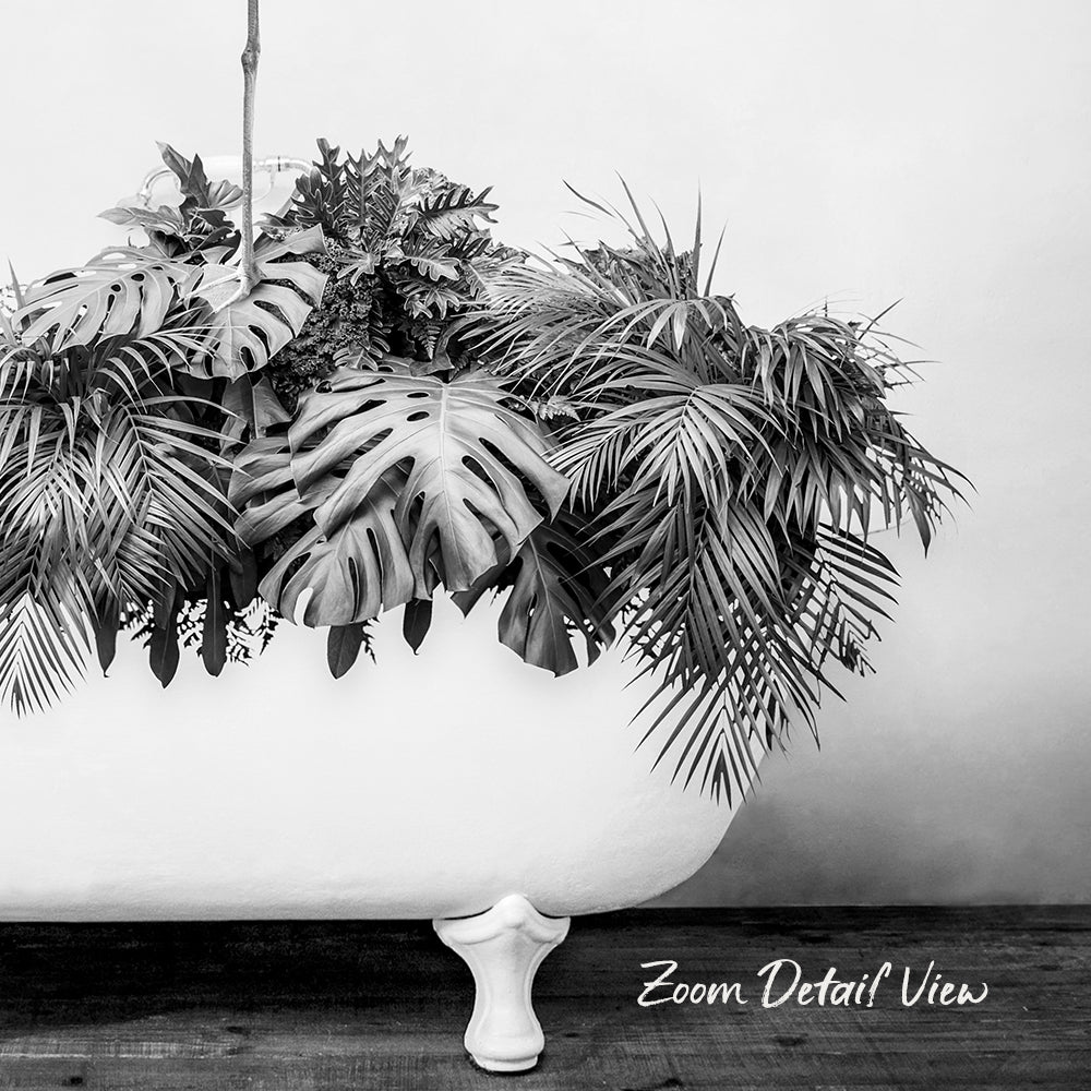 A black and white photograph of a white bathtub filled with lush tropical plants, including palm leaves and ferns, creating a striking contrast against the plain background.