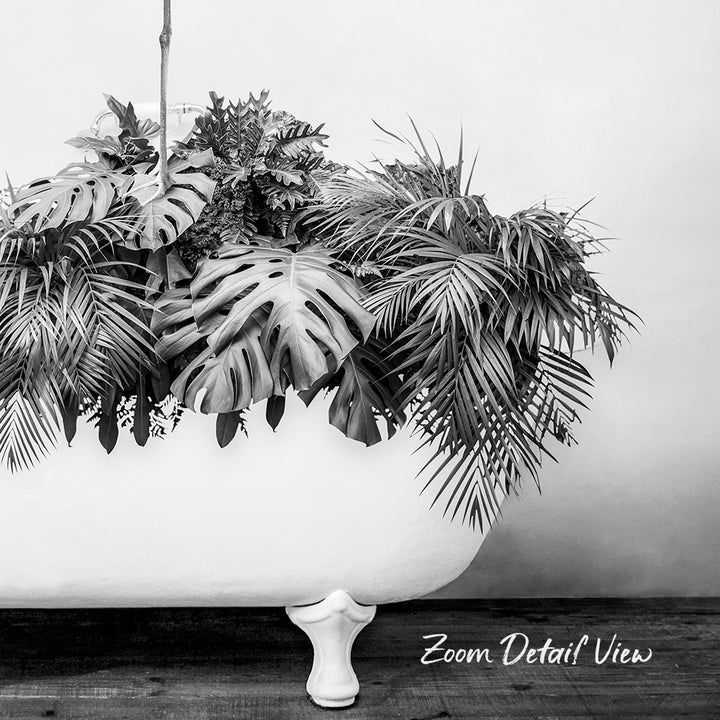 A black and white photograph of a white bathtub filled with lush tropical plants, including palm leaves and ferns, creating a striking contrast against the plain background.