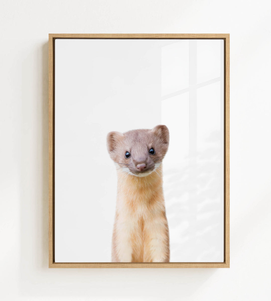 A small brown and white animal, possibly a rodent or a ferret, is standing upright and looking directly at the camera.
