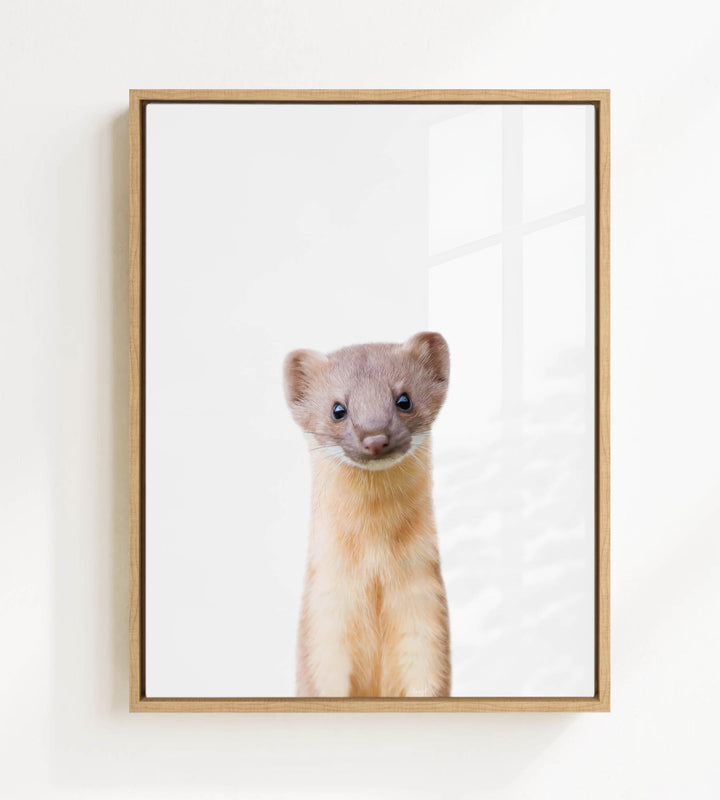 A small brown and white animal, possibly a rodent or a ferret, is standing upright and looking directly at the camera.