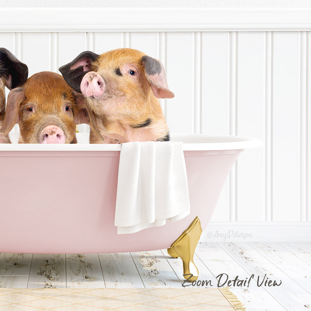 Two adorable pigs sitting in a pink bathtub, with a towel and gold object nearby.
