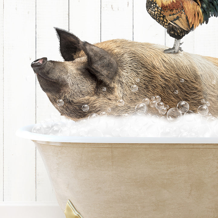 a pig in a bathtub with a chicken on top of it