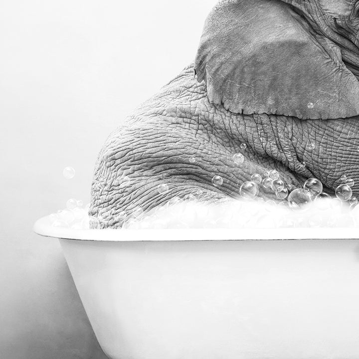 a black and white photo of an elephant in a bathtub