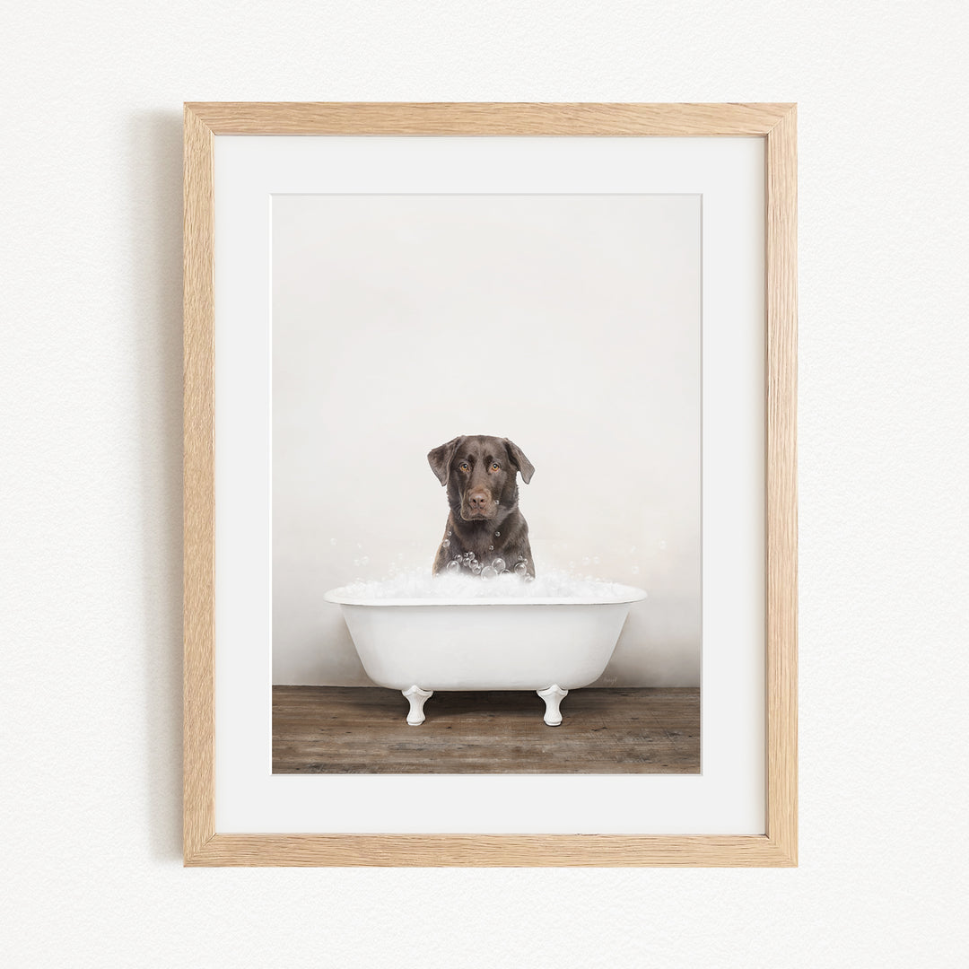 A brown dog sitting in a white bathtub filled with water, looking directly at the camera.