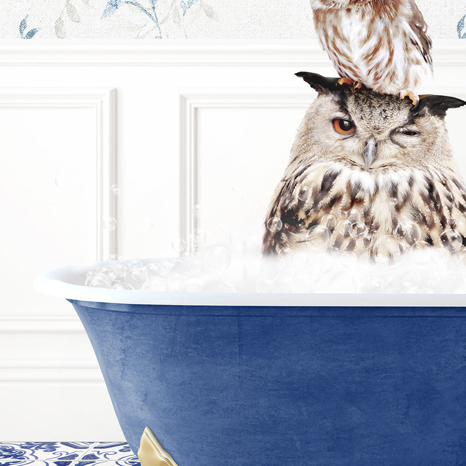 an owl sitting on top of a bath tub