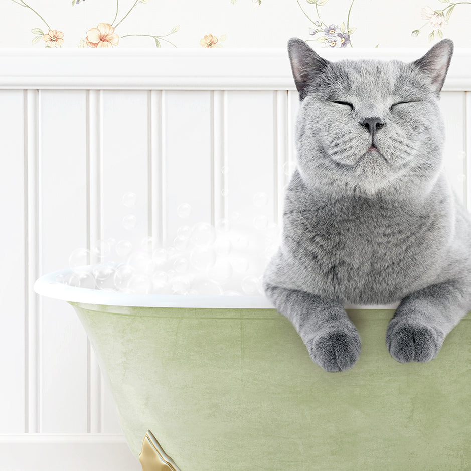 a gray cat sitting in a bath tub with bubbles