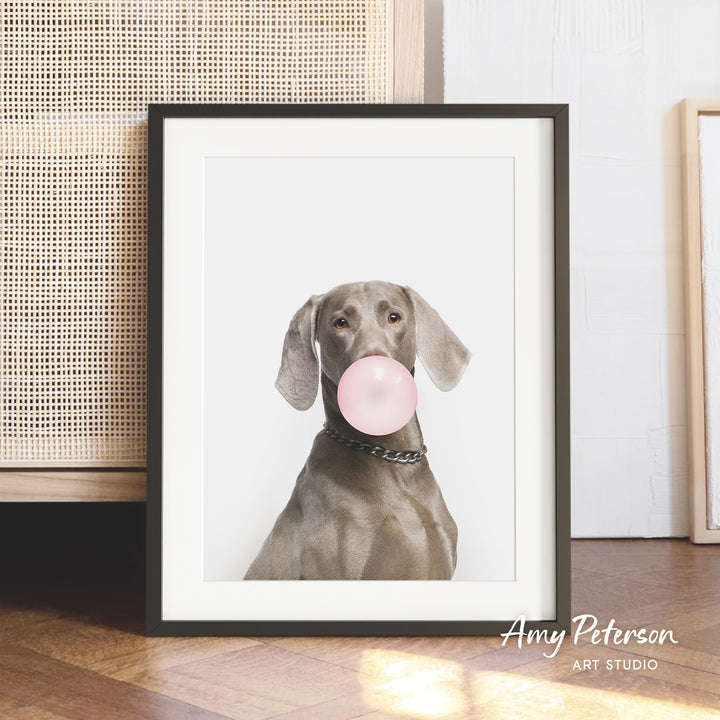 A gray dog with a pink bubble gum bubble in its mouth is the main subject of the framed photograph, which is displayed on a wooden floor against a white wall.