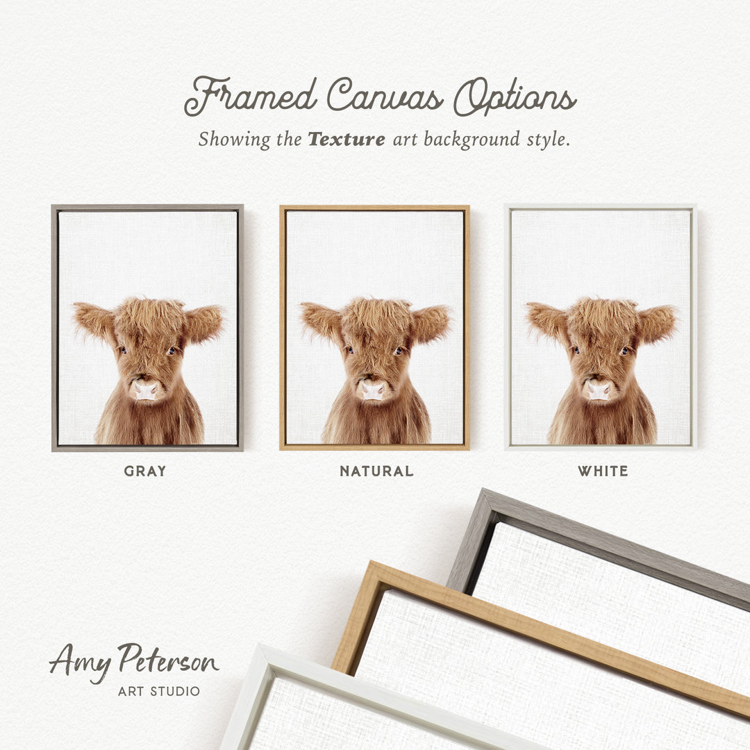 three framed canvas options, each with a different color background style: gray, natural, and white. The text above the canvas options reads " Framed Canvas Options" and "Showing the Texture art background style." The text below the canvas options reads " Amy Peterson ART STUDIO".