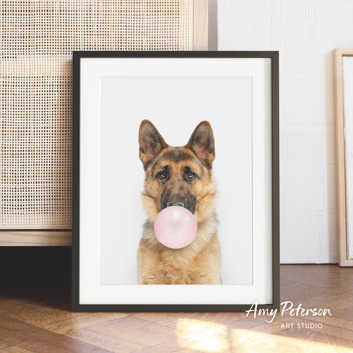 A German Shepherd dog is sitting on a wooden floor, blowing a bubble with a pink bubble gum bubble wand.