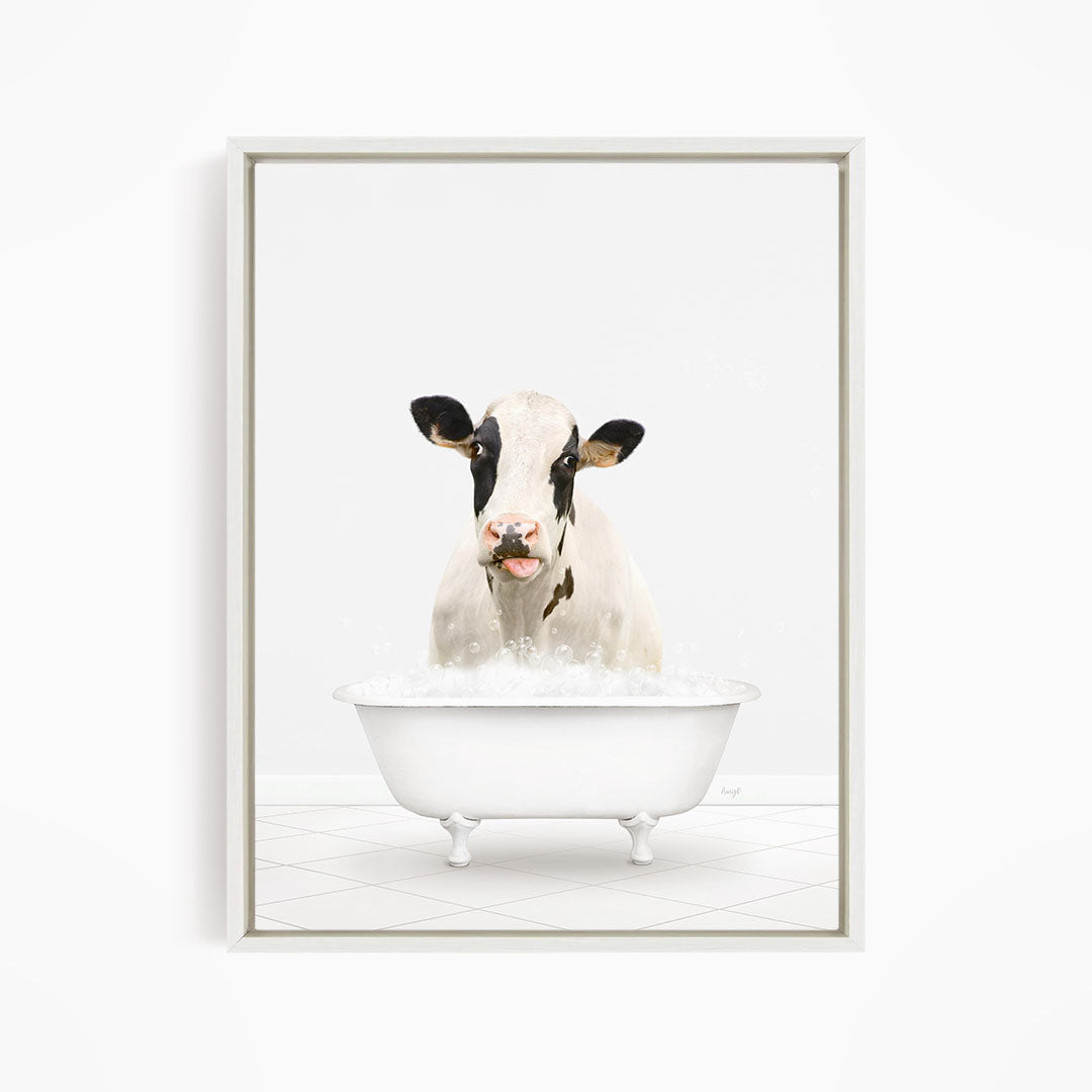 A black and white cow is sitting in a white bathtub filled with water, looking directly at the camera.