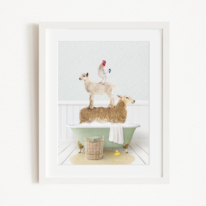 A framed image depicting a goat standing on top of a sheep in a bathtub, with a rooster perched on the sheep's back.