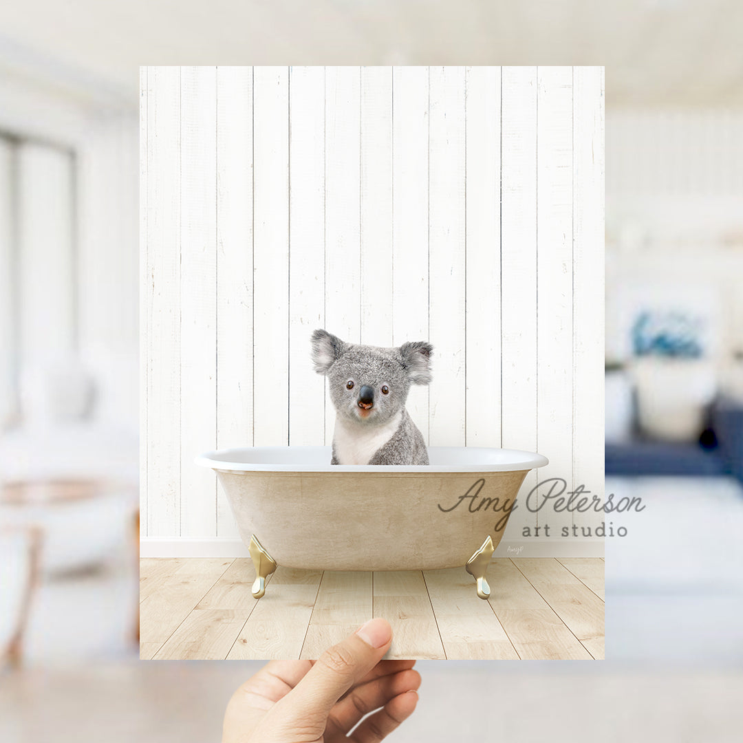 a hand holding a photo of a koala in a bathtub