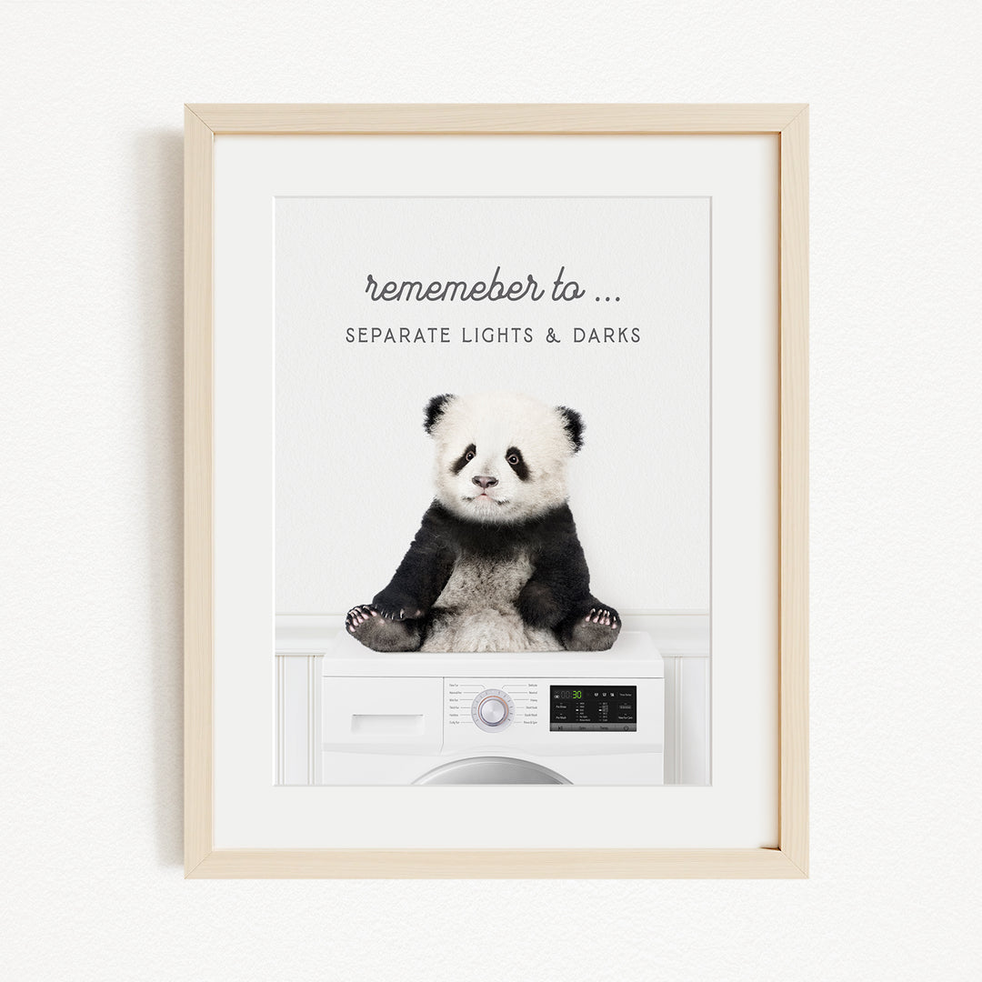 A panda bear sitting on a washing machine, with the text "Remember to... Separate Lights & Darks" displayed above the image.