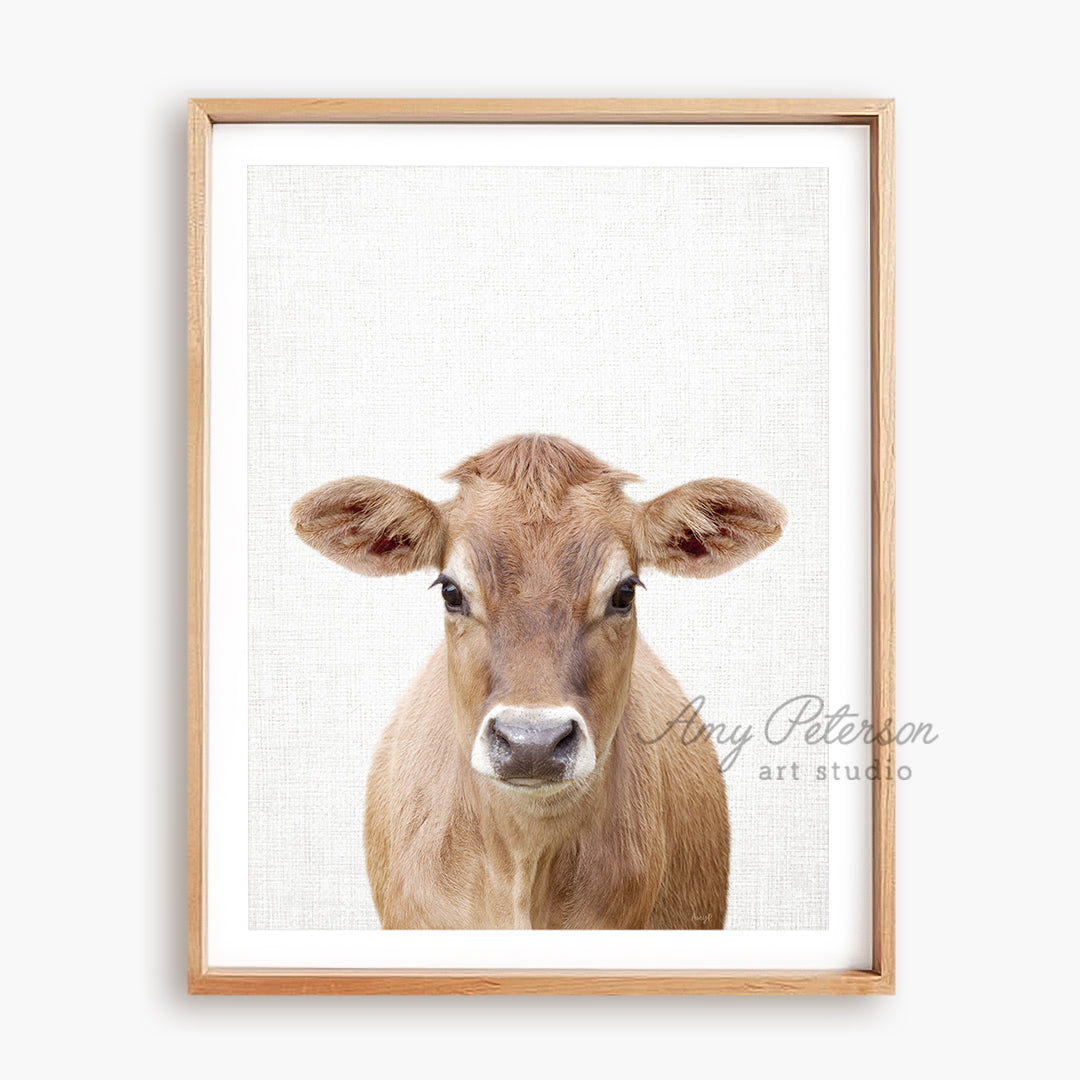 a picture of a brown cow with a white background