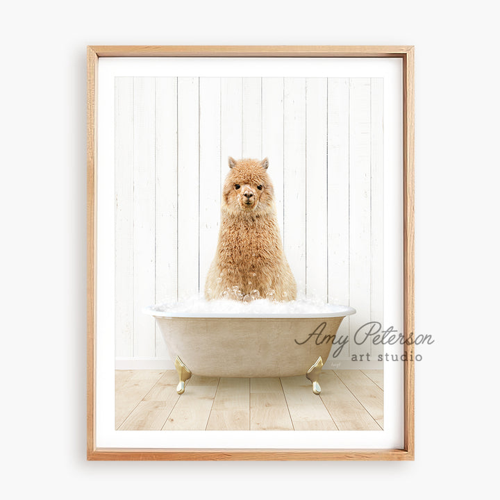 a dog sitting in a bathtub with a white wall behind it