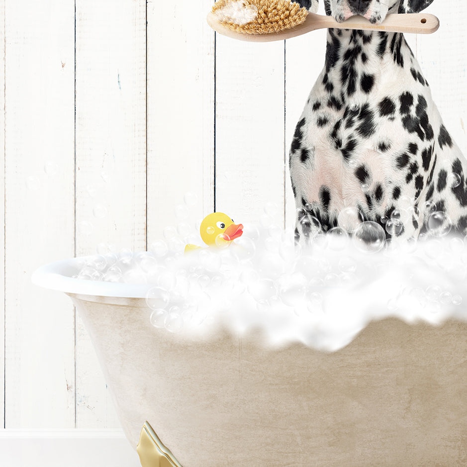 Dalmation in Farmhouse Hot Bath