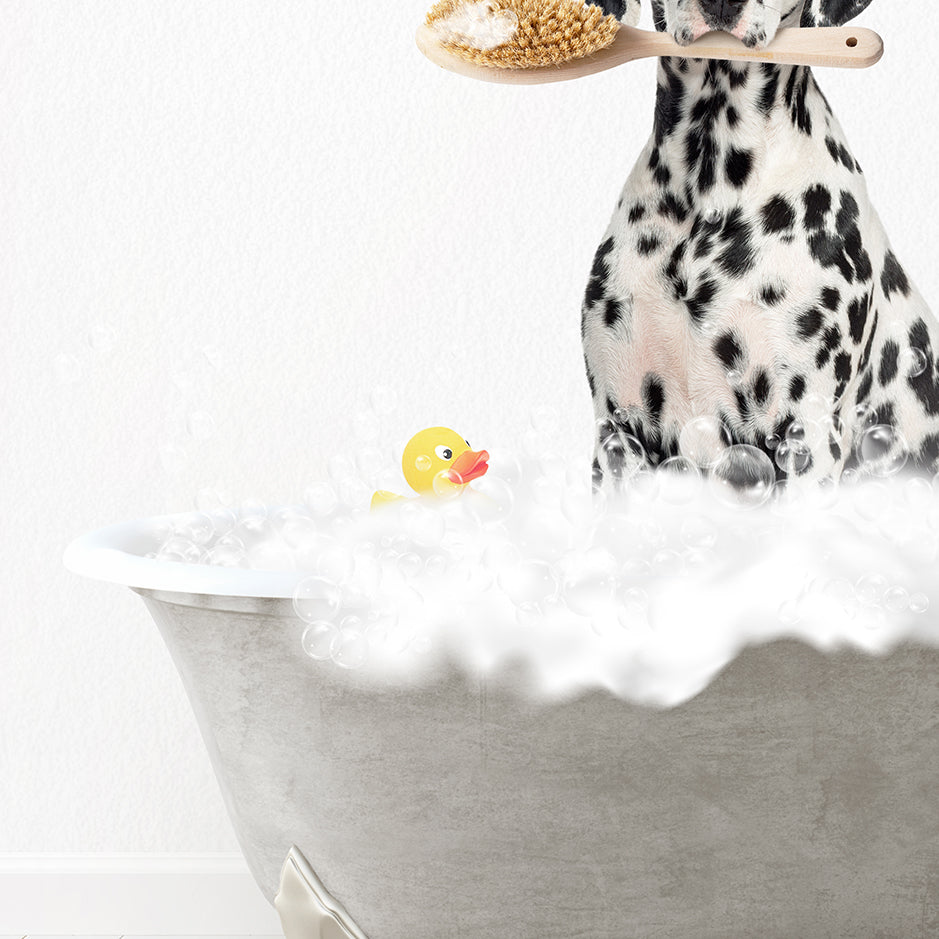 Dalmation Scrub A-Dub-Dub in Simple Gray Bath