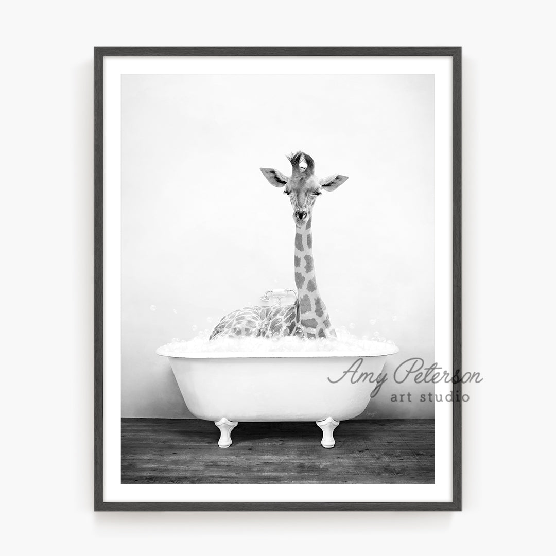 a black and white photo of a giraffe in a bathtub