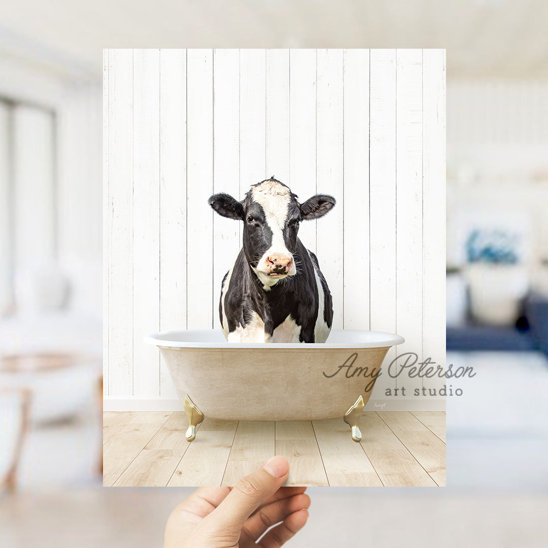 a hand holding a photo of a cow in a bathtub