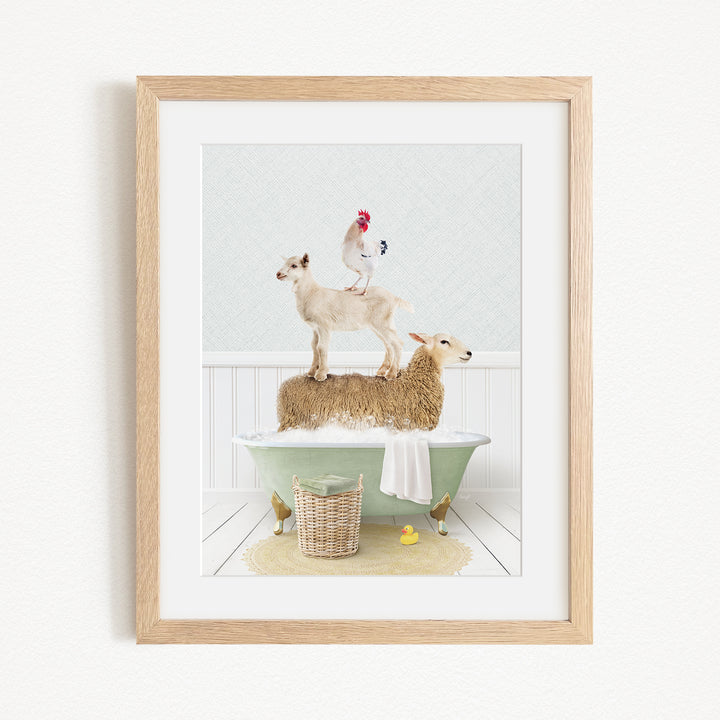 A framed image depicting a goat standing on a sheep's back while a rooster stands on top of the sheep, all in a bathtub.