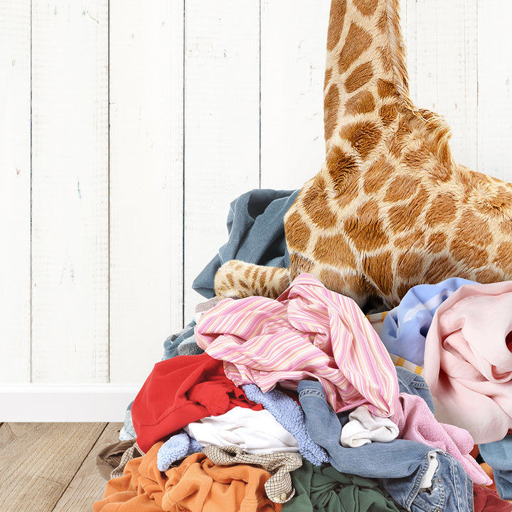 a giraffe standing over a pile of clothes