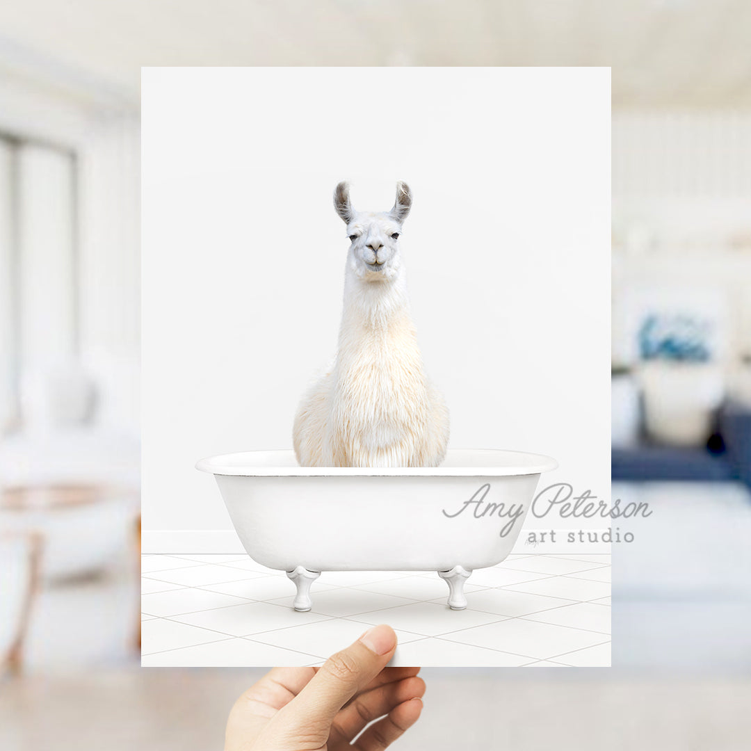 a llama in a bathtub with a white background