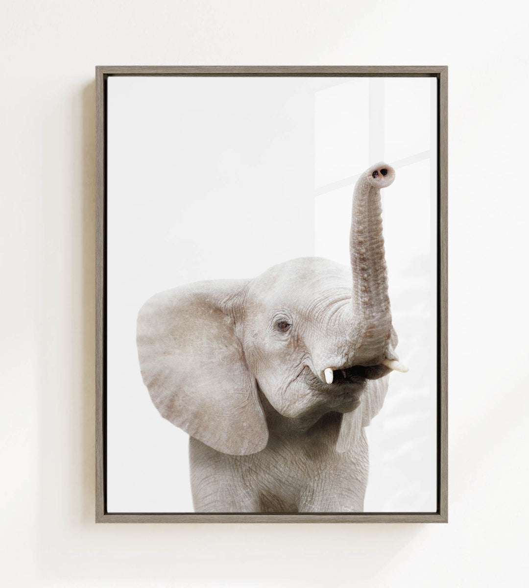 A gray elephant with its trunk raised, standing against a white background.