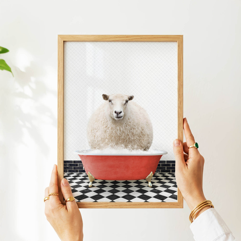 A person's hands are holding a framed picture of a white sheep sitting in a red bathtub, with a black and white checkered floor visible beneath the tub.