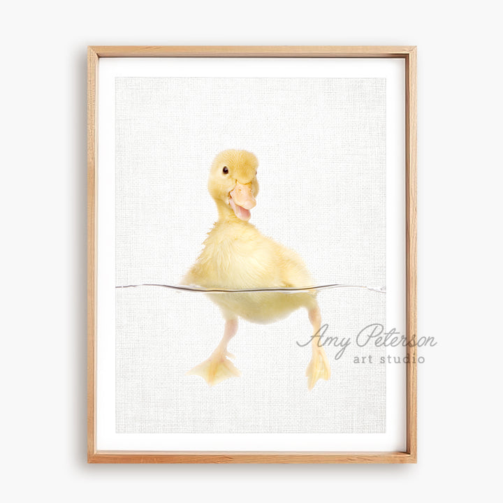 a picture of a duckling floating in water