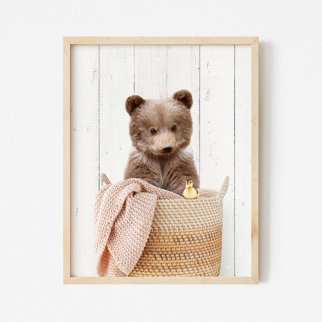 a picture of a teddy bear in a basket