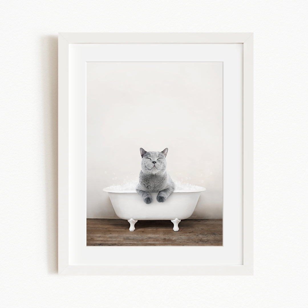 A gray cat sitting in a white bathtub, with its paws resting on the edge of the tub.