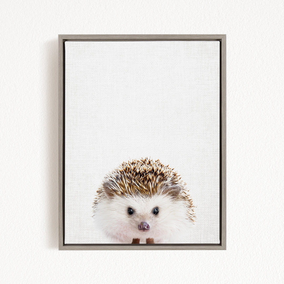 A cute hedgehog peeking out from behind a white background.
