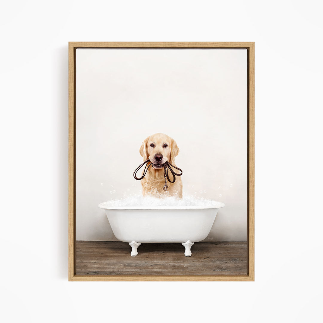 A golden retriever dog is sitting in a white bathtub filled with water, holding a leash in its mouth.